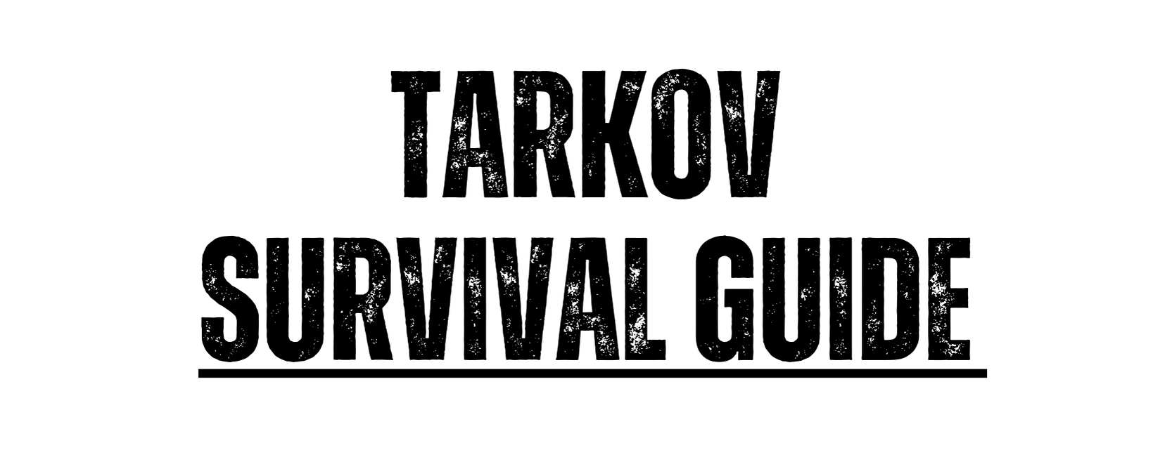 Tarkov Survival Guide